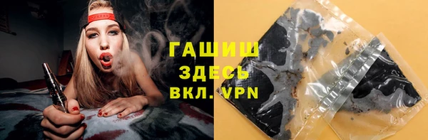 гидра Алексеевка