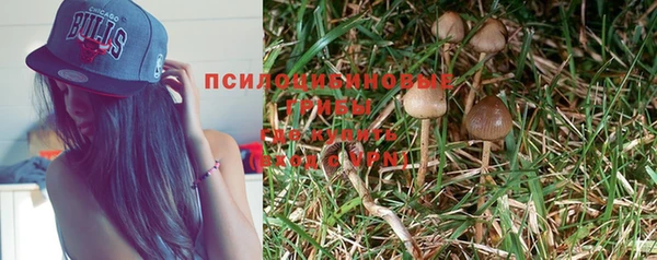 гидра Алзамай