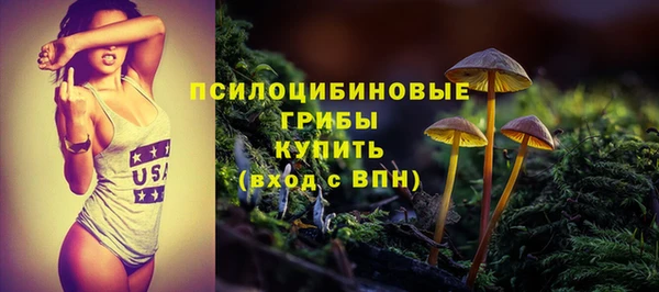 гидра Алзамай